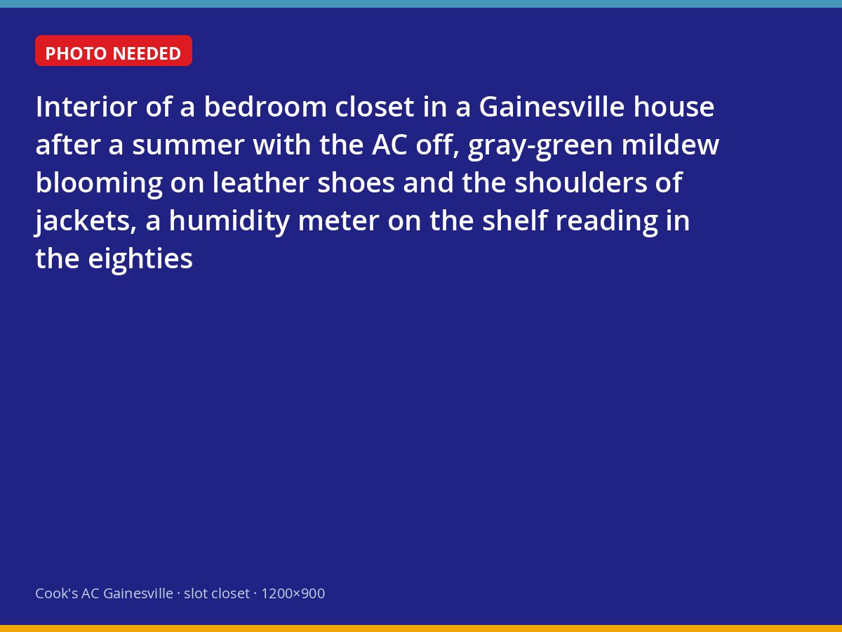 Mildew on clothing and shoes inside a closet after a Gainesville house sat with the air conditioning off for the summer